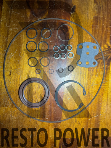 Rexroth A10 A10V100 A10VSO100 Seal kit Viton R910915847